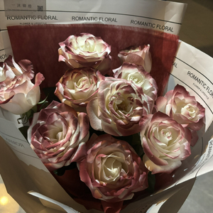 初女学生裸体写真集
